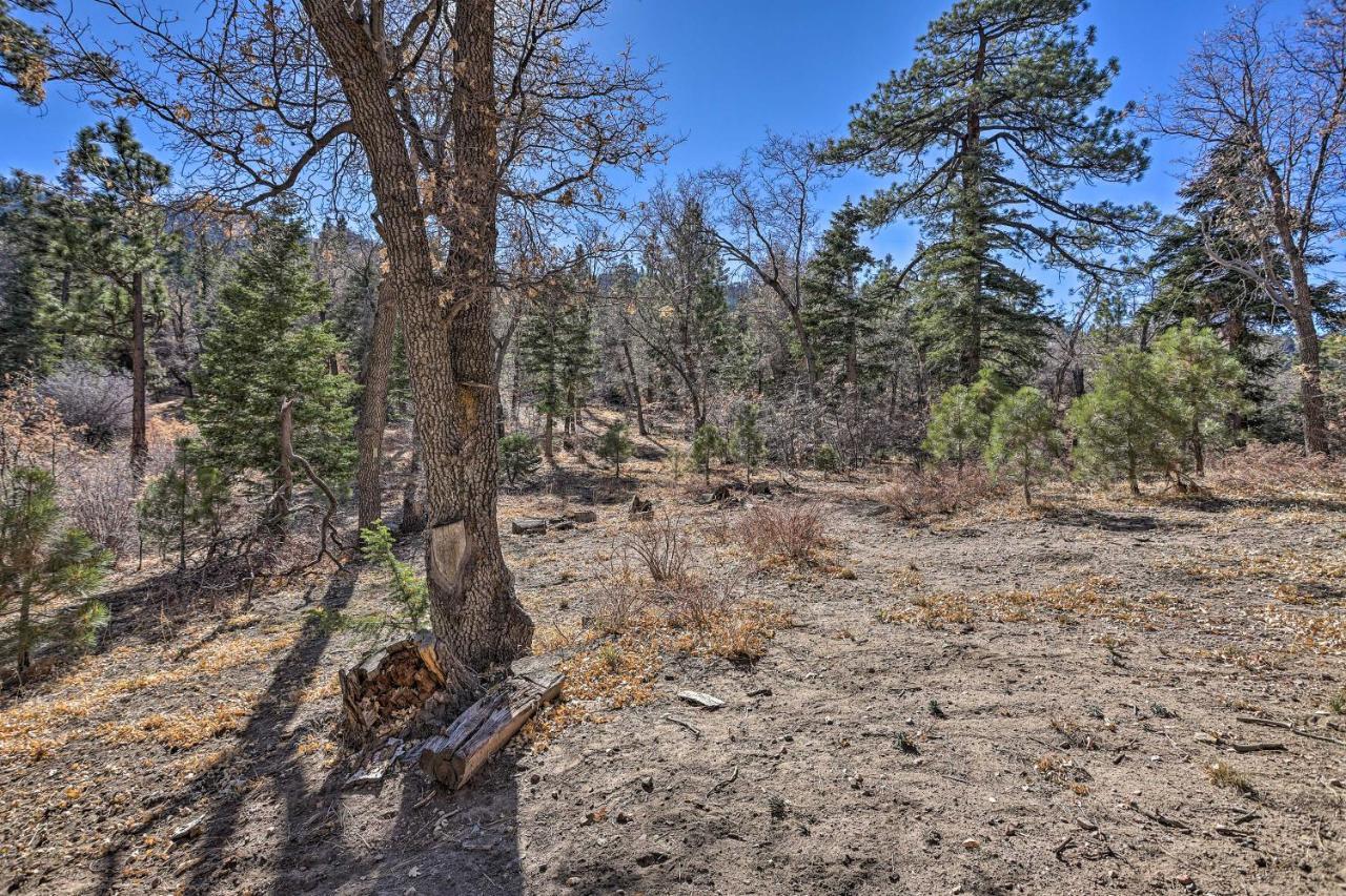 Chocolate Moose Cabin Short Walk To Slopes Villa Big Bear Lake Exterior photo